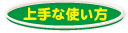 Ȏg