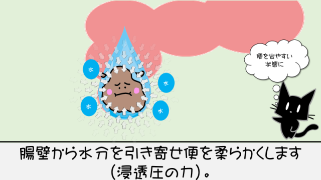 浣腸効果４